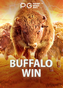 ฝาก 20 รับ 100 กับโลกแห่งสล็อตที่เต็มไปด้วยความสนุก!